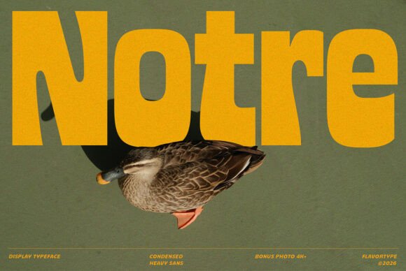 Notre: The Bold Display Typeface That Elevates Handmade Branding